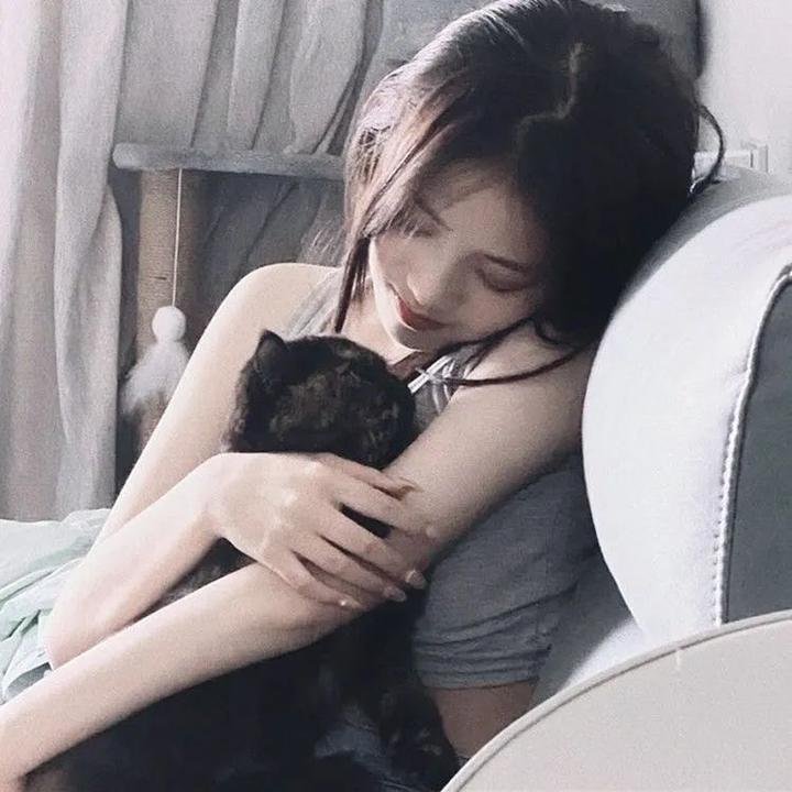 博斯:传承第三季